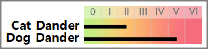 dog and cat allergy testing results